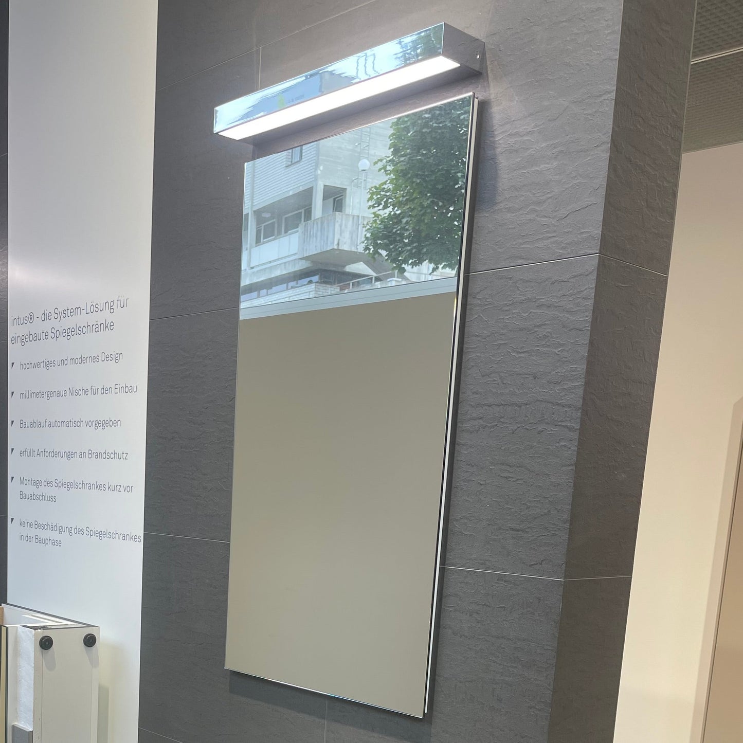Spiegelschrank pure Intus